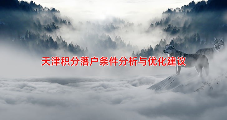 天津积分落户条件分析与优化建议