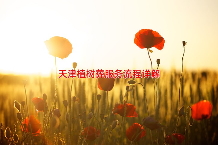 天津植树葬服务流程详解