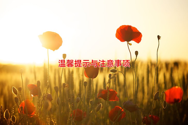 温馨提示与注意事项