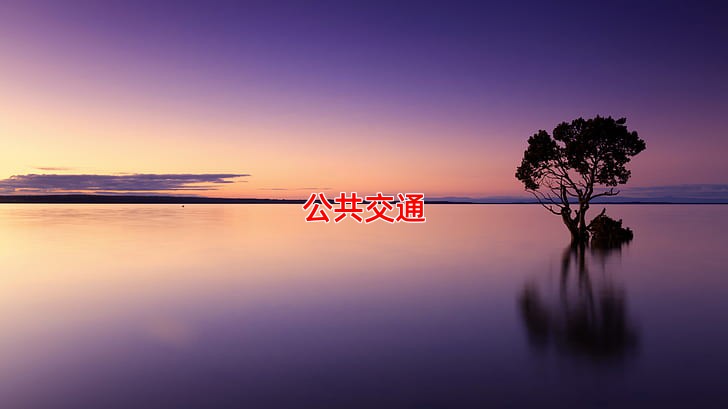 公共交通