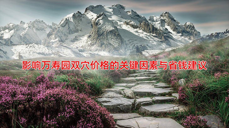 影响万寿园双穴价格的关键因素与省钱建议