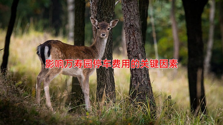 影响万寿园停车费用的关键因素