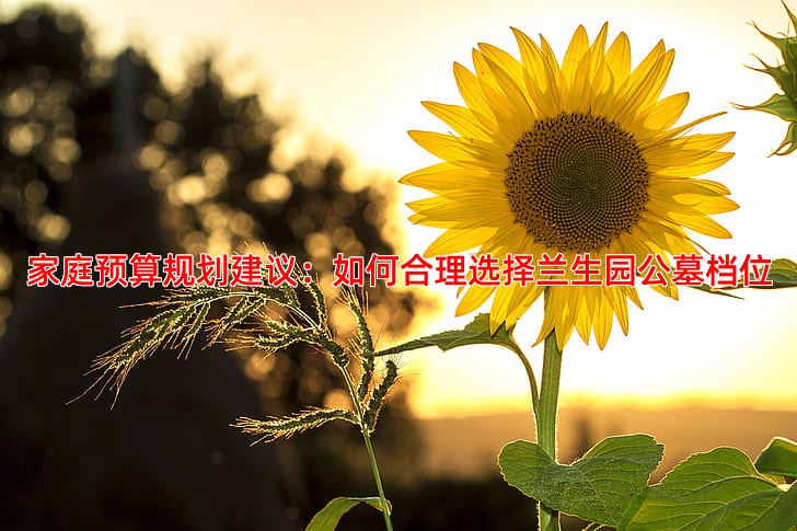 家庭预算规划建议：如何合理选择兰生园公墓档位
