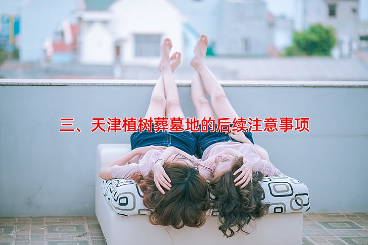 三、天津植树葬墓地的后续注意事项