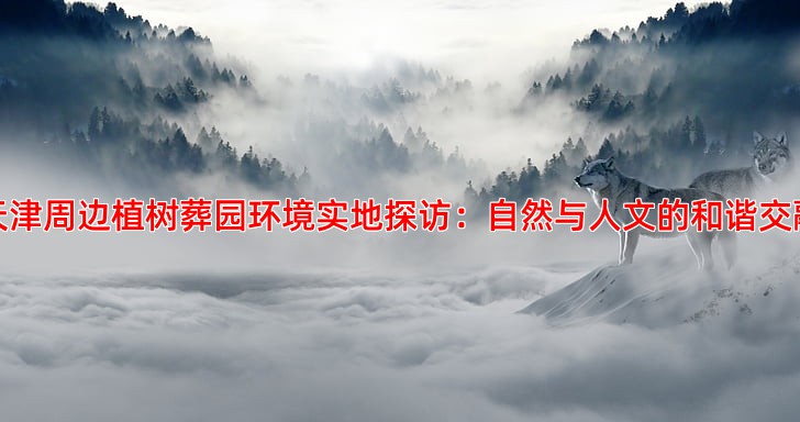 天津周边植树葬园环境实地探访：自然与人文的和谐交融
