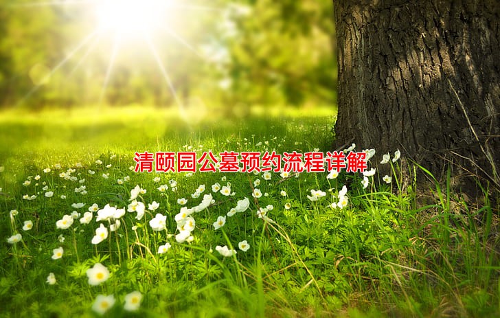 清颐园公墓预约流程详解