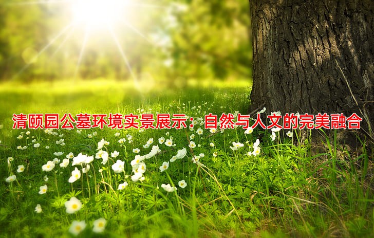 清颐园公墓环境实景展示：自然与人文的完美融合