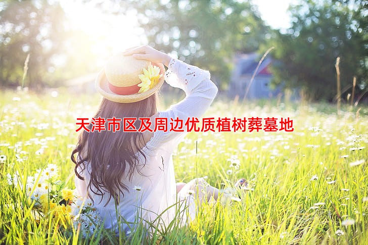 天津市区及周边优质植树葬墓地