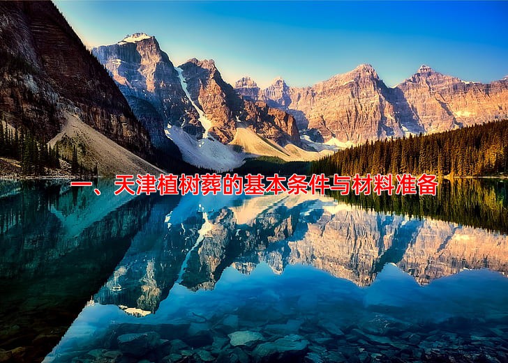 一、天津植树葬的基本条件与材料准备