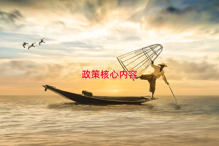 政策核心内容