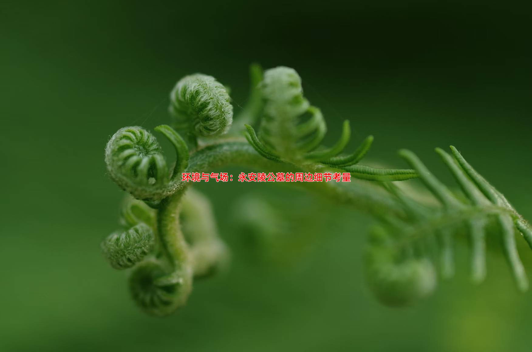 环境与气场：永安陵公墓的周边细节考量