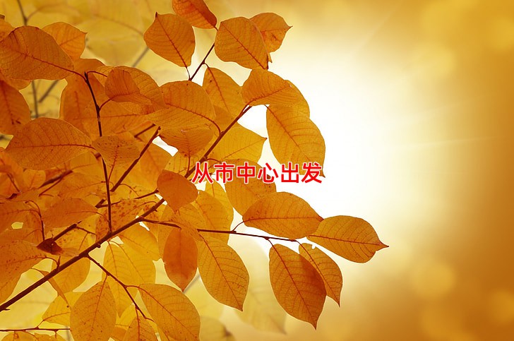 从市中心出发