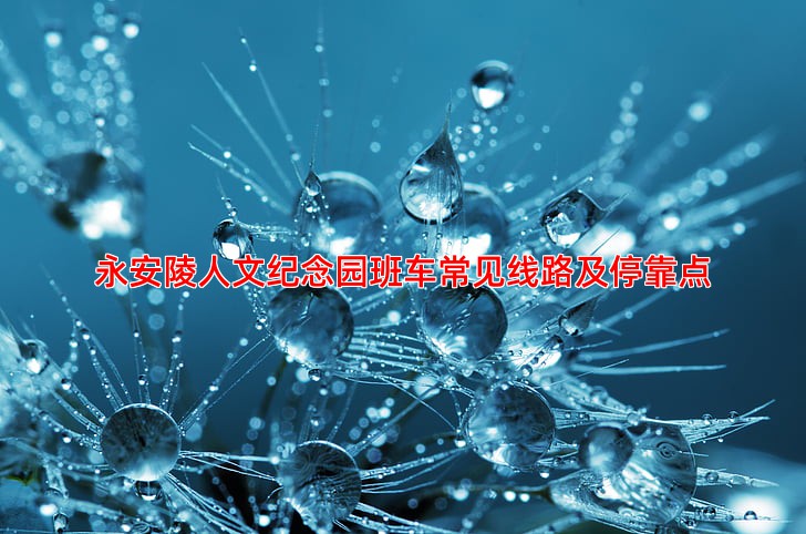 永安陵人文纪念园班车常见线路及停靠点