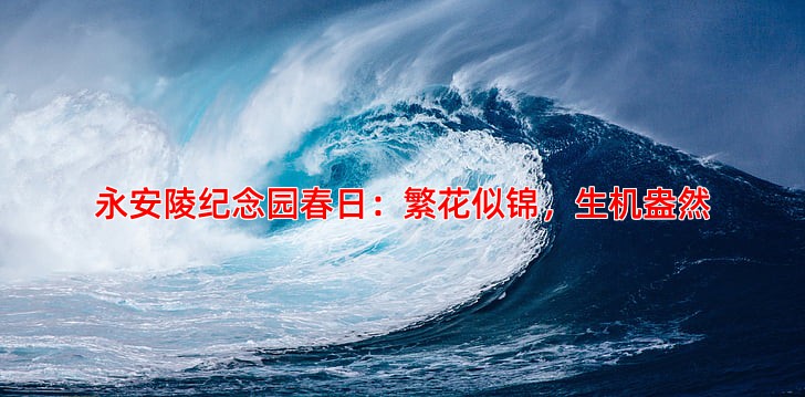 永安陵纪念园春日：繁花似锦，生机盎然
