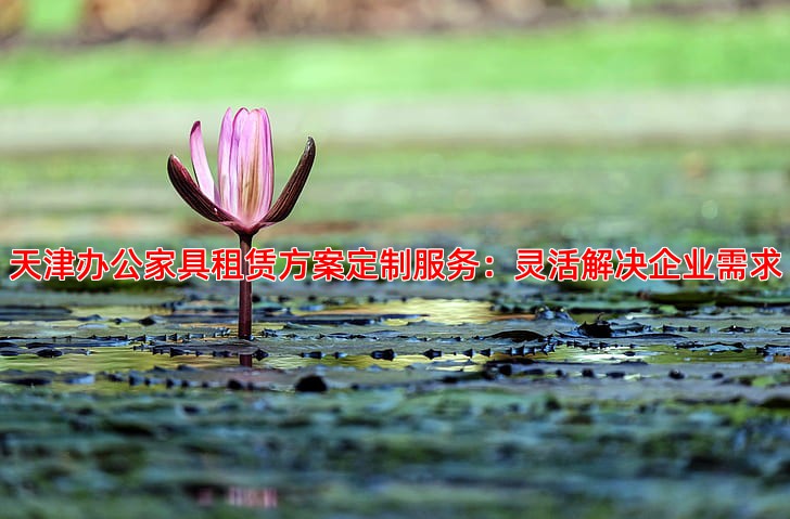 天津办公家具租赁方案定制服务：灵活解决企业需求