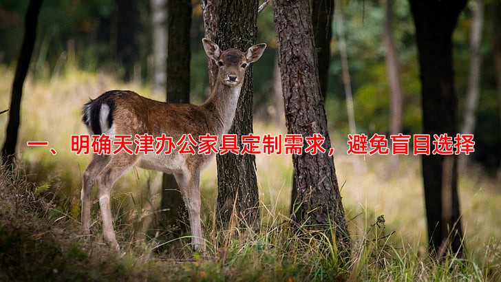 一、明确天津办公家具定制需求，避免盲目选择