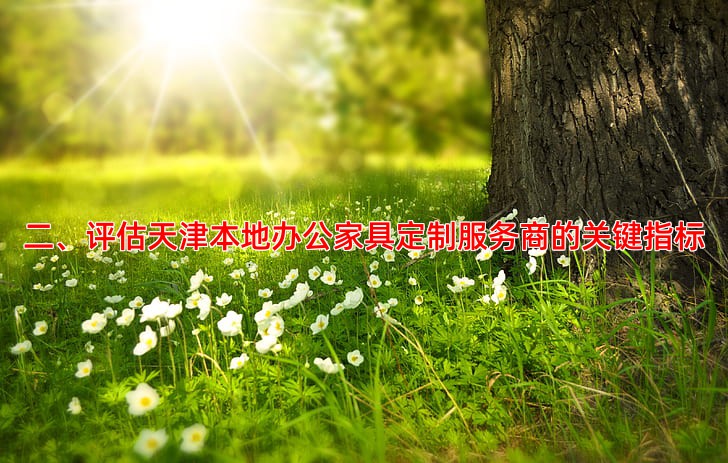 二、评估天津本地办公家具定制服务商的关键指标