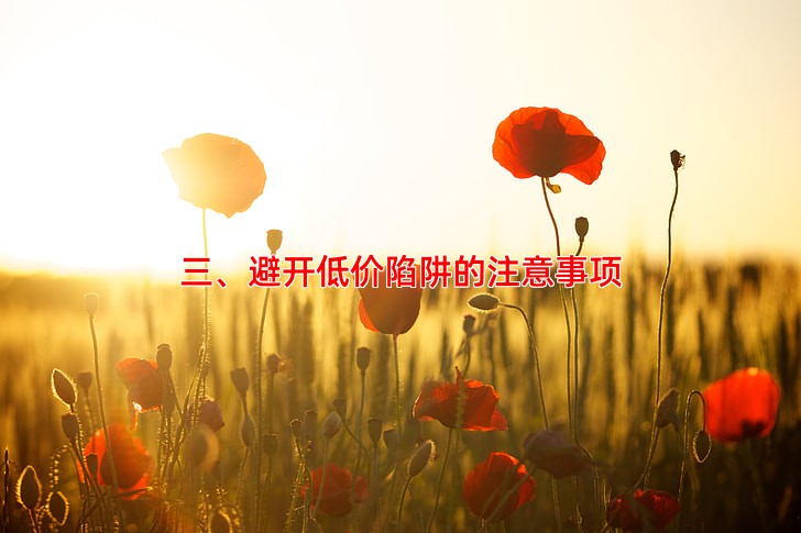 三、避开低价陷阱的注意事项
