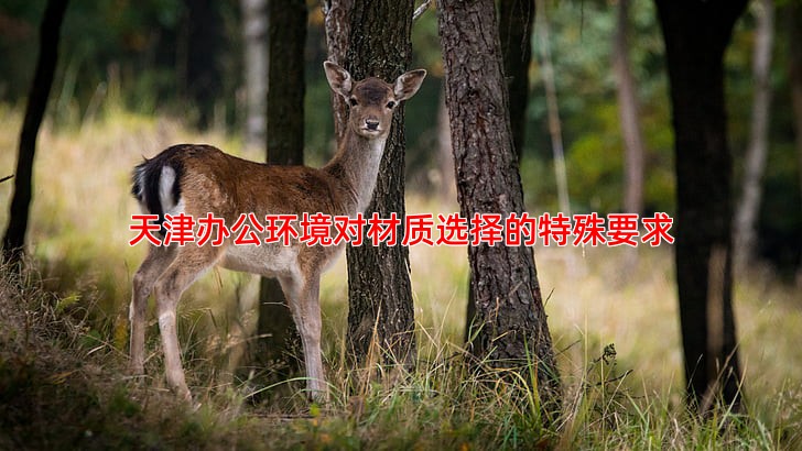 天津办公环境对材质选择的特殊要求