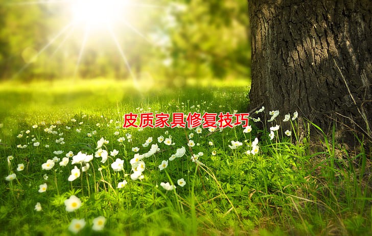 皮质家具修复技巧