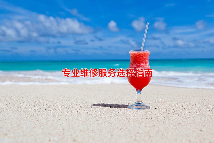 专业维修服务选择指南