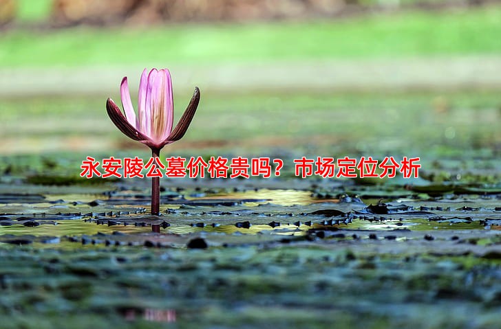 永安陵公墓价格贵吗？性价比分析与选购建议