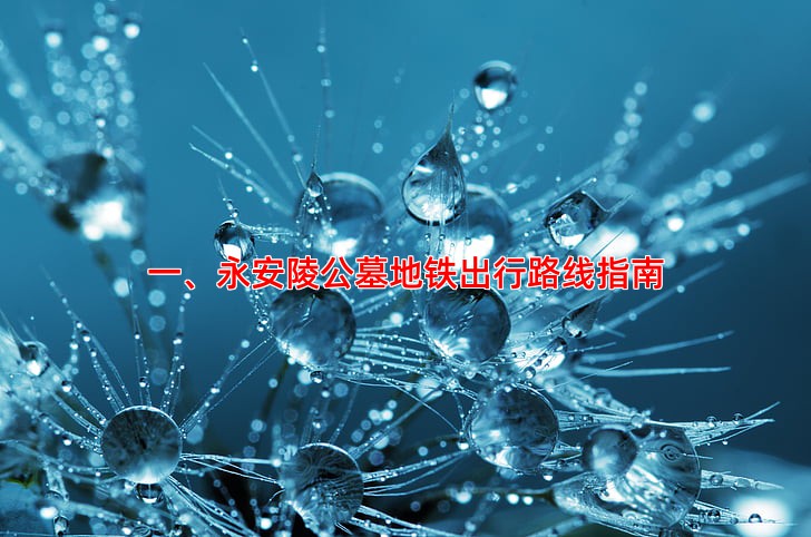 永安陵公墓公交地铁出行攻略