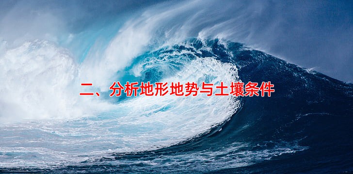 二、分析地形地势与土壤条件