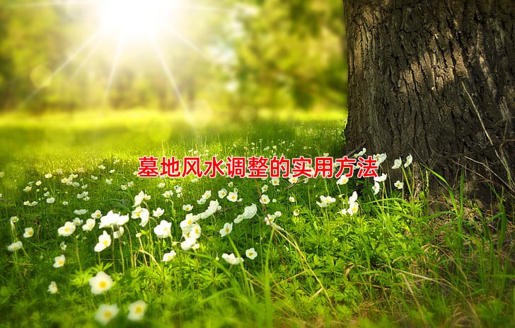 墓地风水调整的实用方法