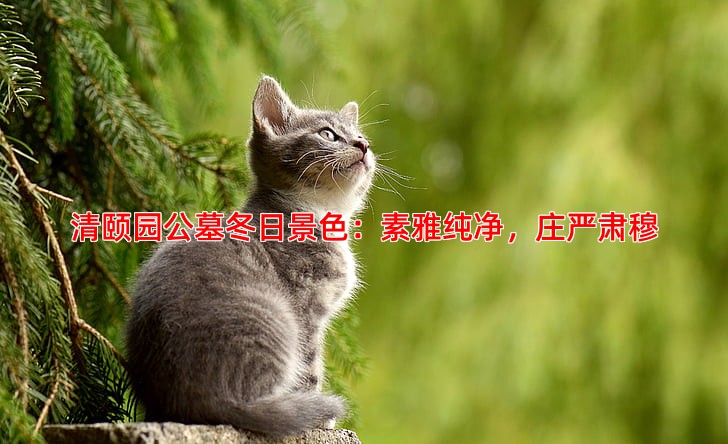 清颐园公墓冬日景色：素雅纯净，庄严肃穆