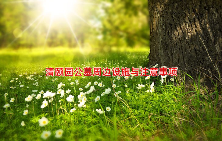 清颐园公墓周边设施与注意事项