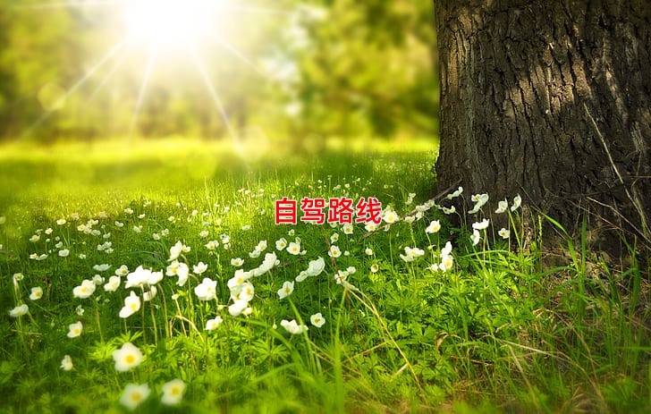 自驾路线