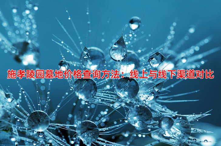 施孝陵园墓地价格查询方法：线上与线下渠道对比