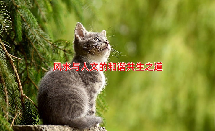 风水与人文的和谐共生之道