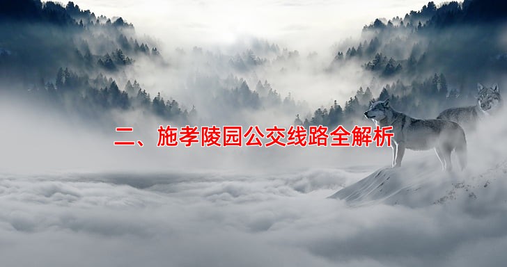 二、施孝陵园公交线路全解析