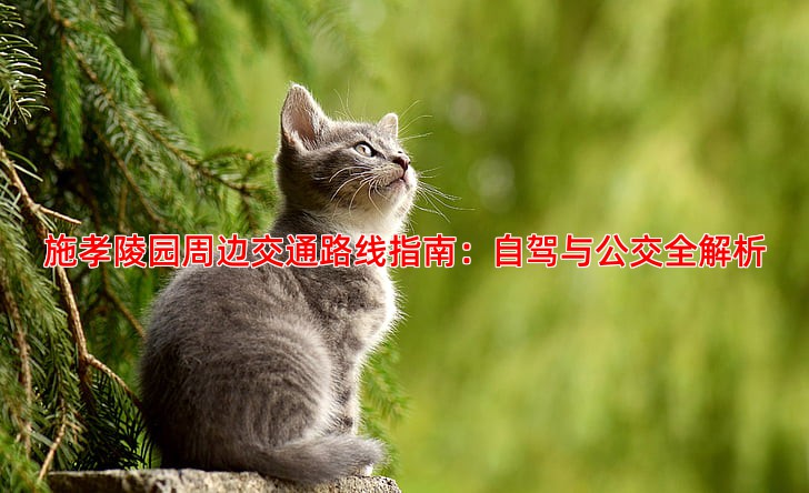 施孝陵园周边交通路线指南：自驾与公交全解析