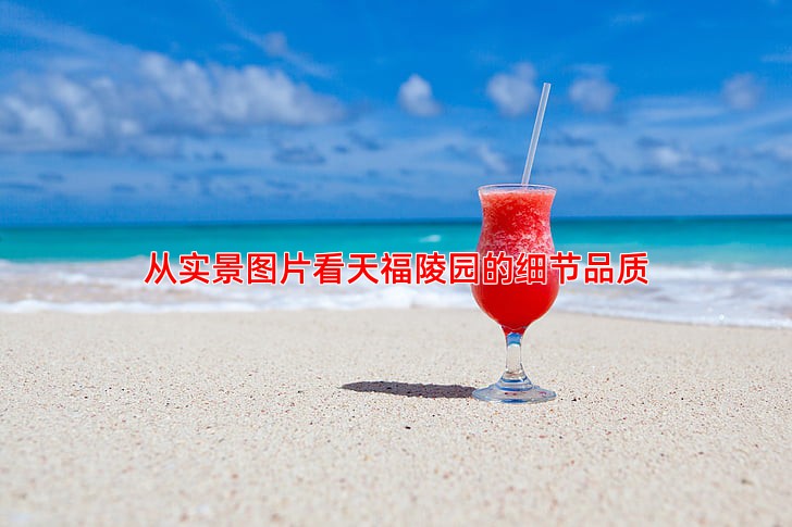 从实景图片看天福陵园的细节品质