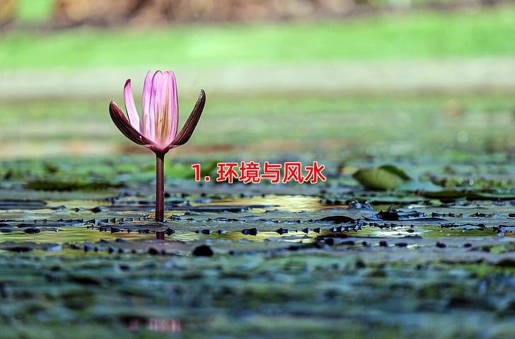 1. 环境与风水