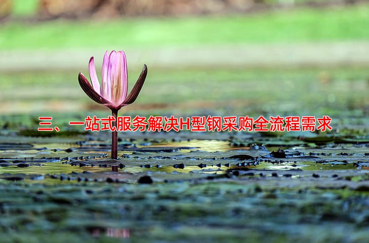 三、一站式服务解决H型钢采购全流程需求