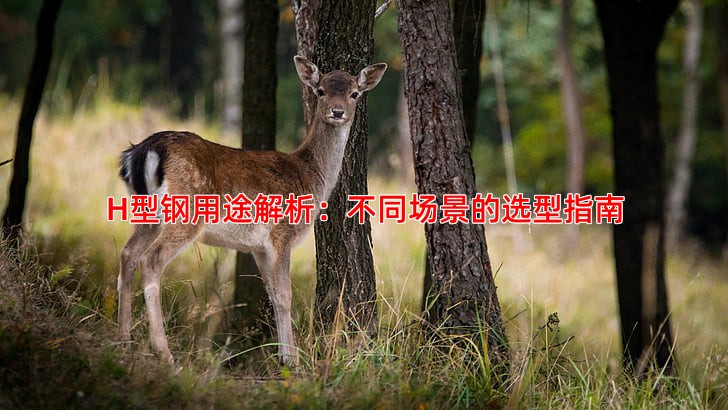 H型钢用途解析：不同场景的选型指南