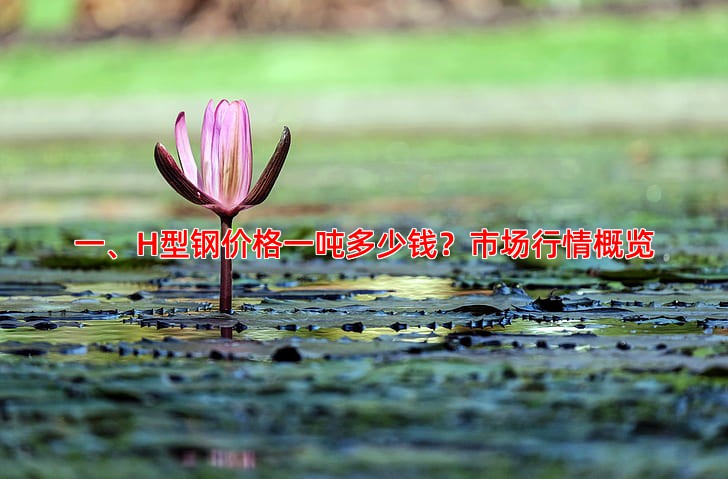 H型钢价格一吨多少钱规格差异对比