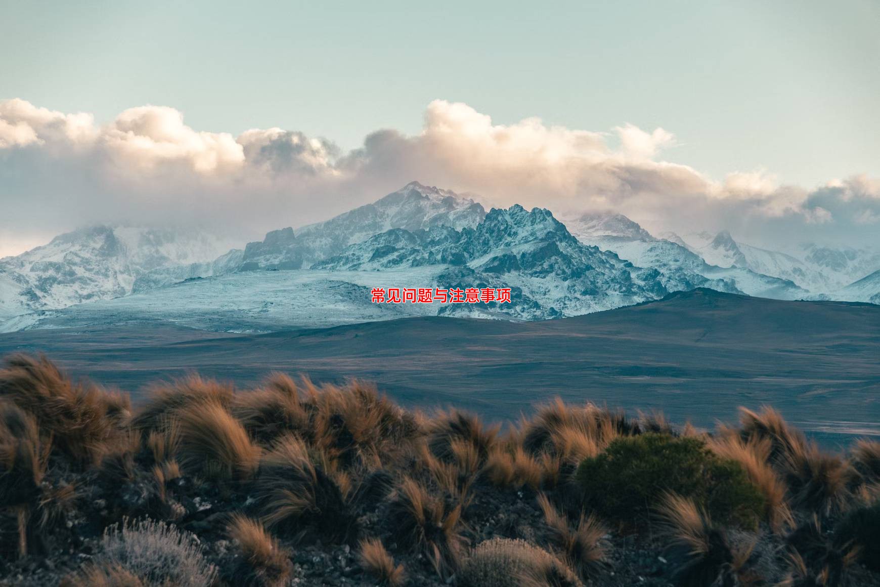 常见问题与注意事项