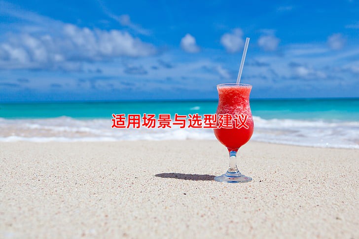 适用场景与选型建议