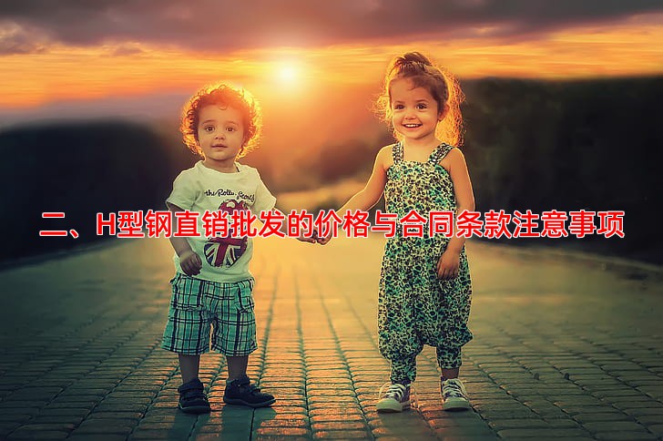 二、H型钢直销批发的价格与合同条款注意事项