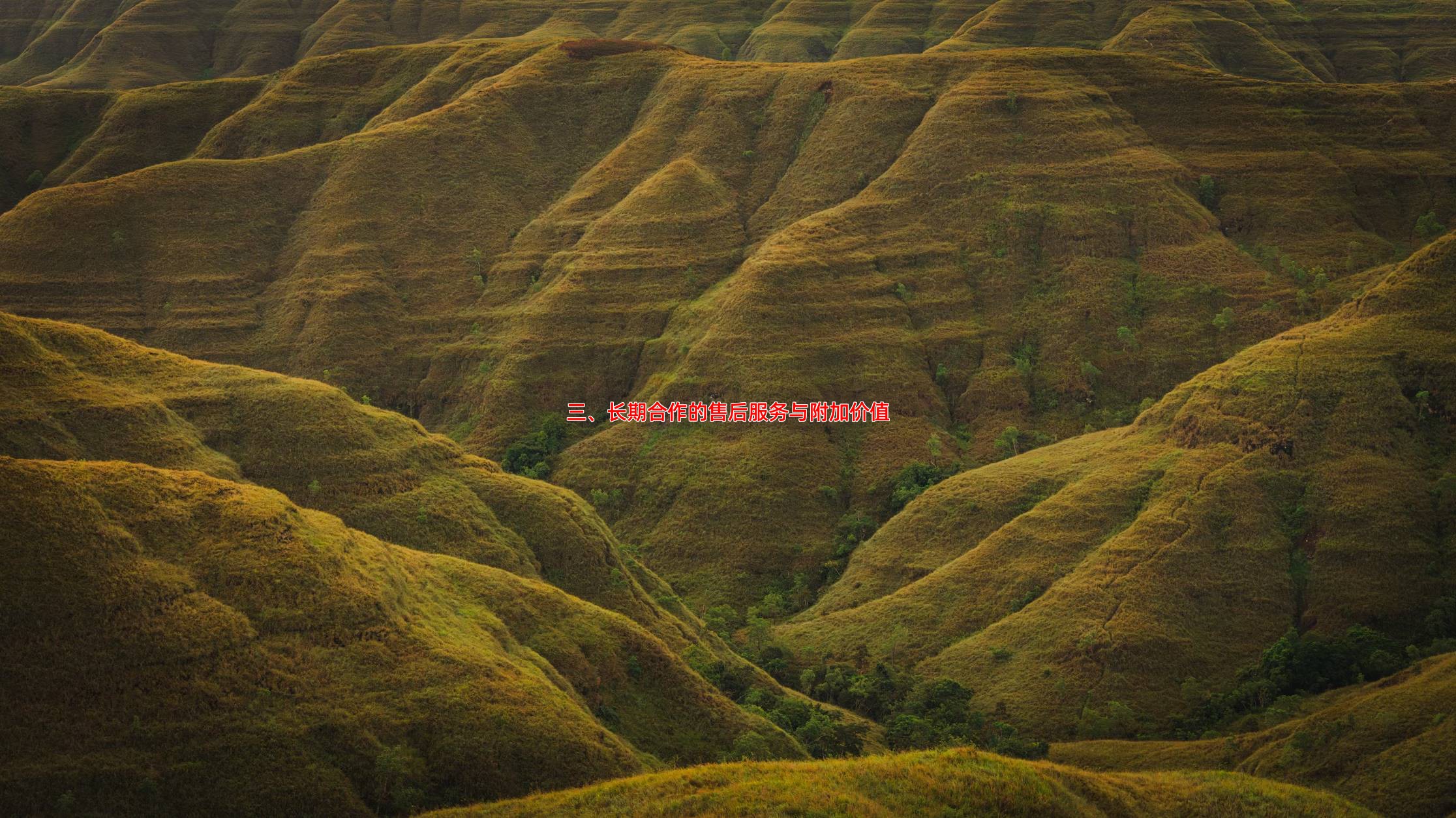 三、长期合作的售后服务与附加价值