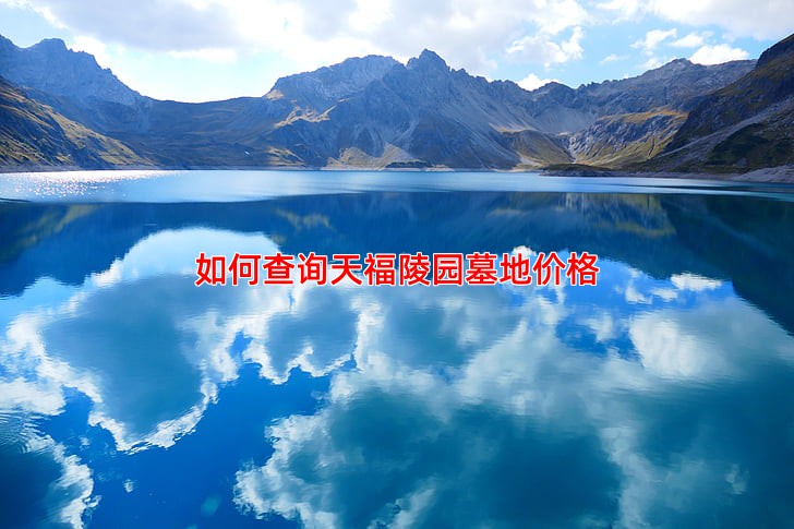 如何查询天福陵园墓地价格