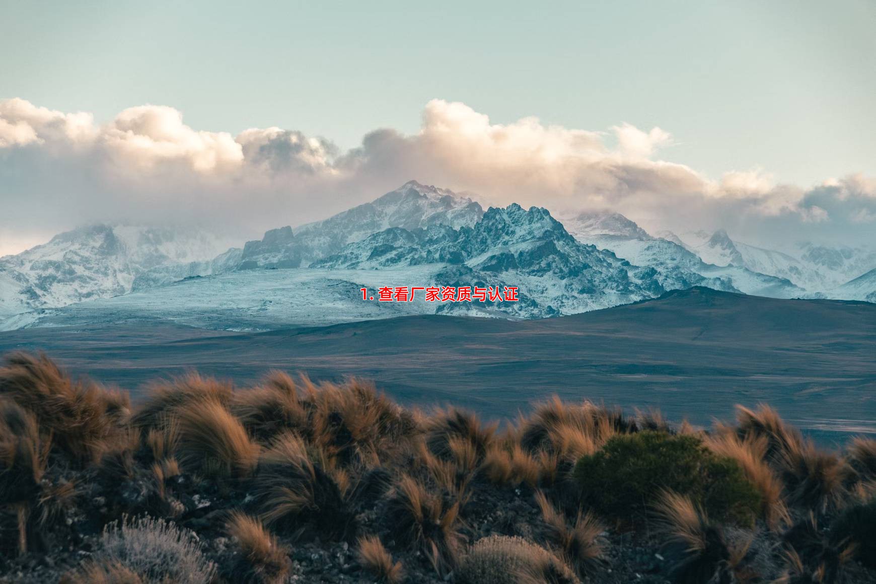 1. 查看厂家资质与认证