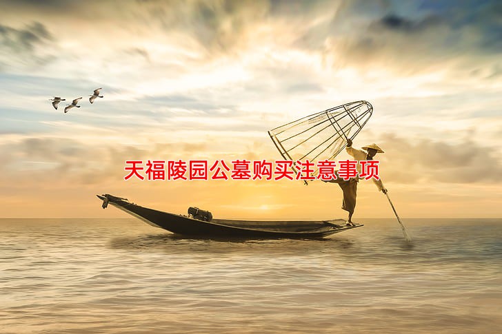 天福陵园公墓购买注意事项