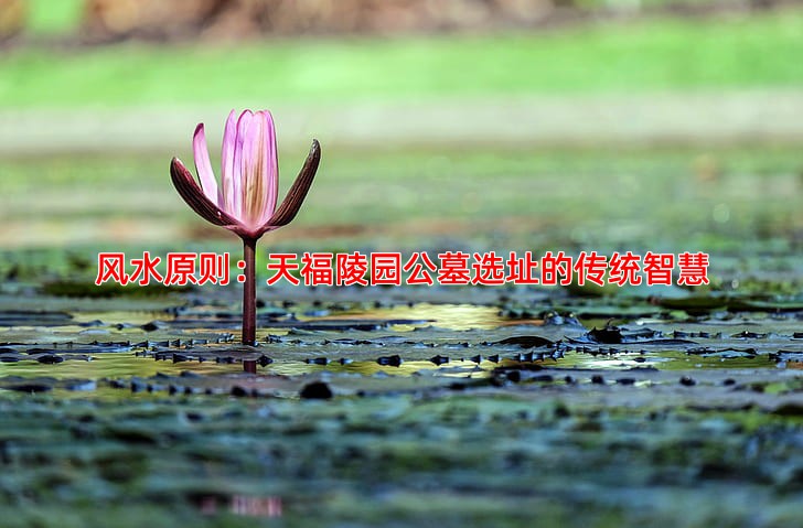 风水原则：天福陵园公墓选址的传统智慧