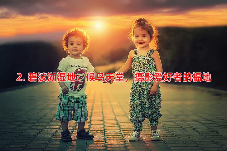 2. 碧波湖湿地：候鸟天堂，摄影爱好者的福地